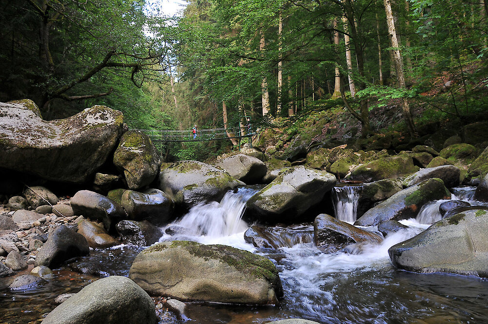 Wandern, Wander-Ge(h)nuss an der Wildbachklamm